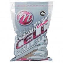 Slika nije definirana 